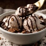 Mississippi Mud Ice Cream