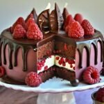 Chocolate Raspberry Drip Cake Recipe