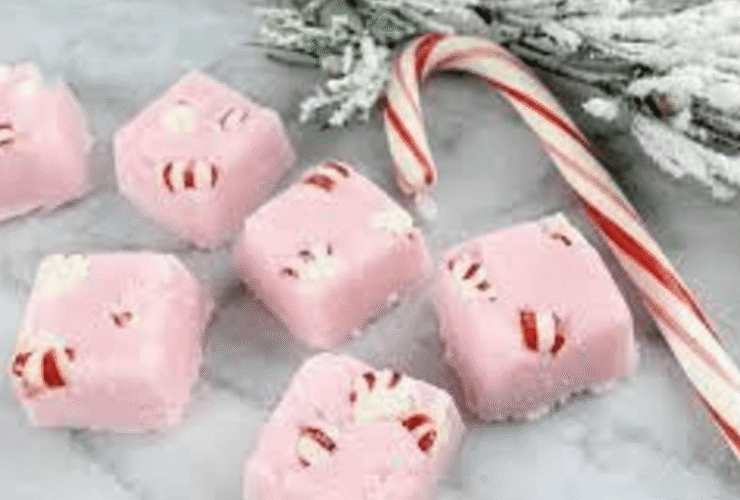 Candy Cane Sugar Scrub Cubes Recipe