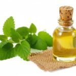 Lemon Balm Oil Recipe