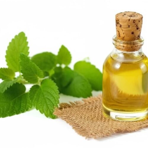 Lemon Balm Oil Recipe