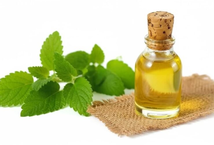 Lemon Balm Oil Recipe