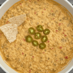 Dairy Free Rotel Dip Recipe