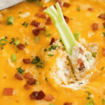 Warm Crack Chicken Dip Recipe